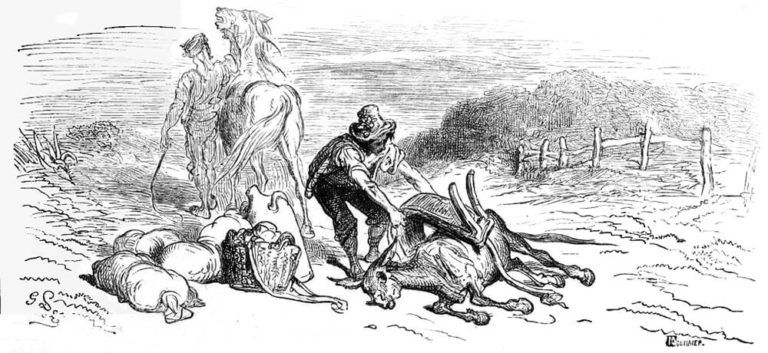 Fable De La Fontaine Haro Sur Le Baudet