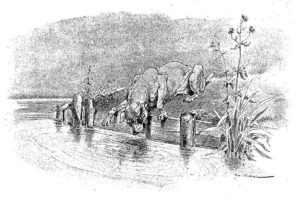 Le Chien Qui Lâche Sa Proie Pour l'Ombre de Jean de La Fontaine dans Les Fables - Illustration de Auguste Vimar - 1897