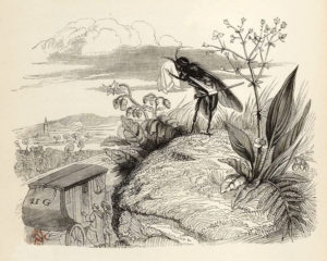 Le Coche et La Mouche de Jean de La Fontaine dans Les Fables - Illustration de Grandville - 1840