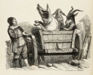 Le Cochon, La Chèvre et Le Mouton de Jean de La Fontaine dans Les Fables - Illustration de Grandville - 1840