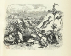 Le Combat des Rats et des Belettes de Jean de La Fontaine dans Les Fables - Illustration de Grandville - 1840