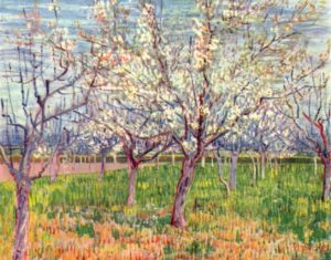 Nous Allions au Verger... de Victor Hugo dans Les Contemplations - Peinture de Vincent van Gogh - Verger avec floraison d'abricotiers - 1888