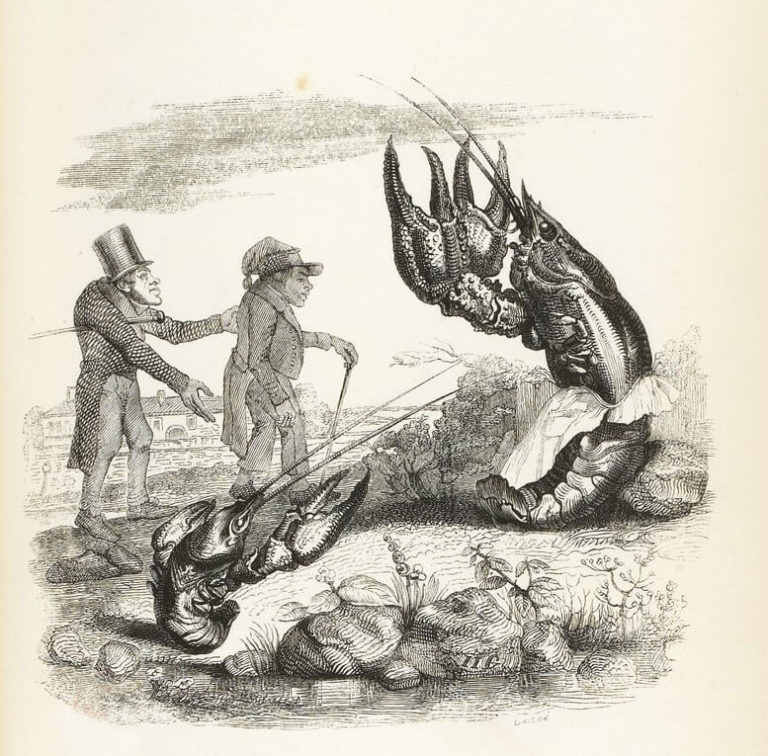 L'Écrevisse et Sa Fille de Jean de La Fontaine dans Les Fables - Illustration de Grandville - 1840