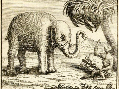 L’Éléphant et Le Singe de Jupiter