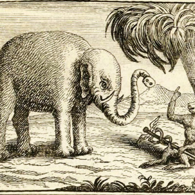 L’Éléphant et Le Singe de Jupiter