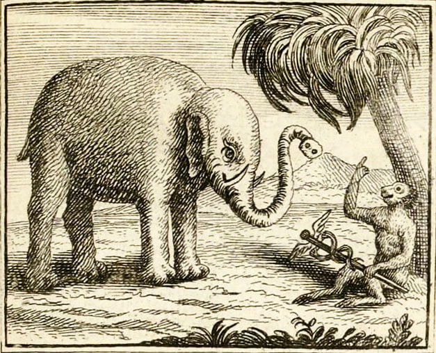L'Éléphant et Le Singe de Jupiter de Jean de La Fontaine dans Les Fables - Illustration de François Chauveau - 1688