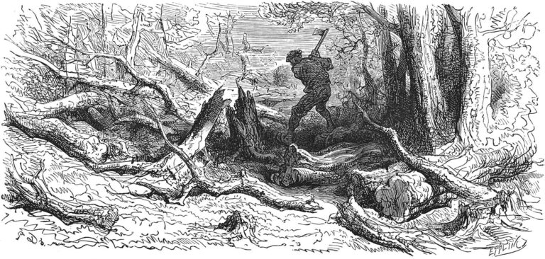 La Forêt et Le Bûcheron de Jean de La Fontaine dans Les Fables - Gravure de Gustave Doré - 1876