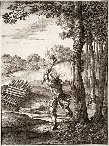 La Forêt et Le Bûcheron de Jean de La Fontaine dans Les Fables - Illustration de Wenceslaus Hollar - The woodman - 1677