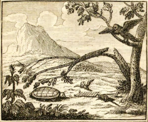 Le Corbeau, La Gazelle, La Tortue et Le Rat de Jean de La Fontaine dans Les Fables - Illustration de François Chauveau - 1688