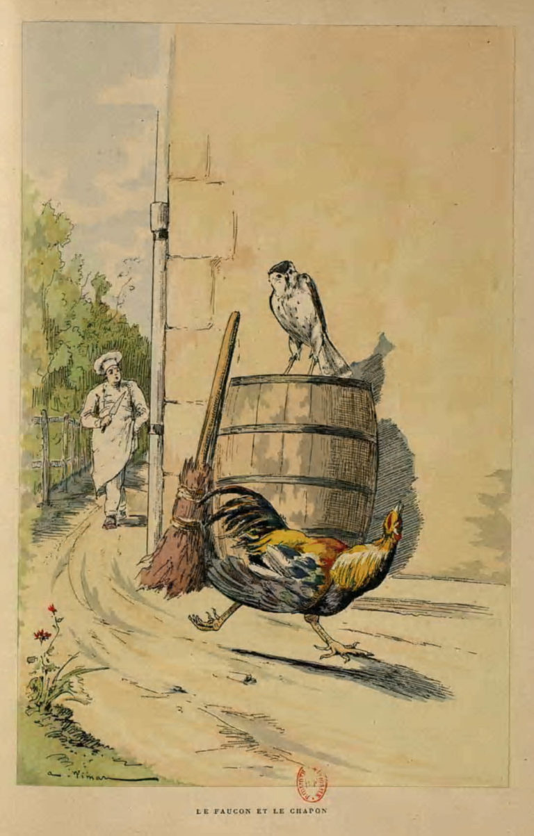 Le Faucon et Le Chapon de Jean de La Fontaine dans Les Fables - Illustration de Auguste Vimar - 1897