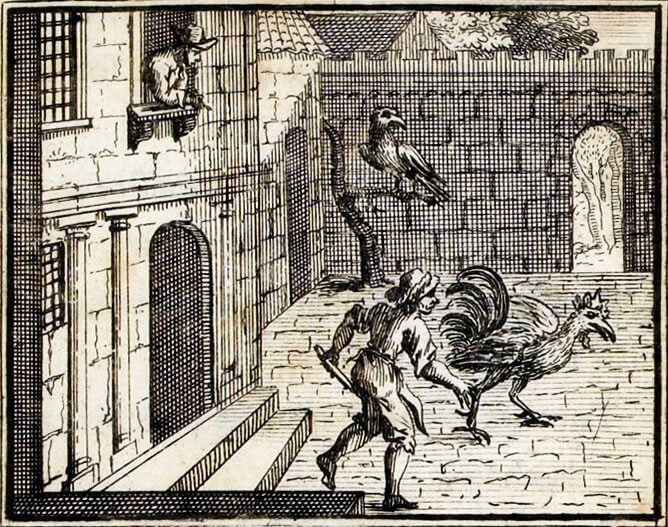 Le Faucon et Le Chapon de Jean de La Fontaine dans Les Fables - Illustration de François Chauveau - 1688