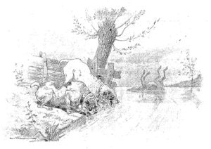 Les Deux Chiens et l'Âne Mort de Jean de La Fontaine dans Les Fables - Illustration de Auguste Vimar - 1897