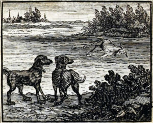 Les Deux Chiens et l'Âne Mort de Jean de La Fontaine dans Les Fables - Illustration de François Chauveau - 1688