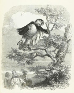 Les Deux Perroquets, Le Roi et Son Fils de Jean de La Fontaine dans Les Fables - Illustration de Grandville - 1840