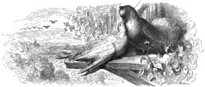 Les Deux Pigeons de Jean de La Fontaine dans Les Fables - Gravure de Gustave Doré - 1876