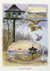 Les Deux Pigeons de Jean de La Fontaine dans Les Fables - Illustration de Gaston Gelibert - 1900