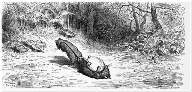 Les Deux Rats, Le Renard et l'Œuf de Jean de La Fontaine dans Les Fables - Gravure de Gustave Doré - 1876