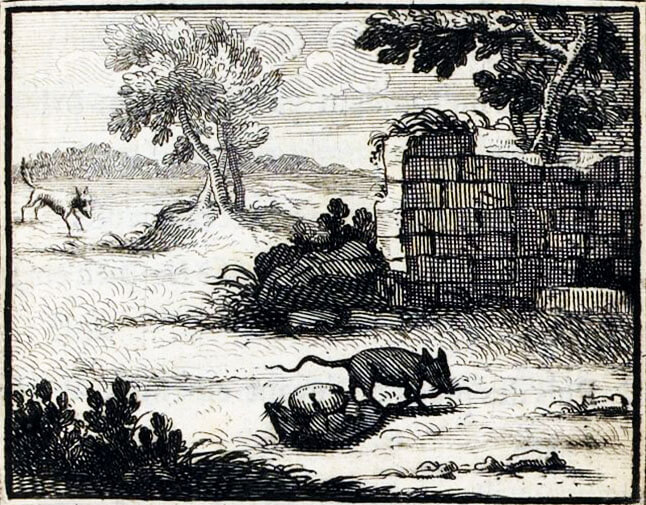 Les Deux Rats, Le Renard et l'Œuf de Jean de La Fontaine dans Les Fables - Illustration de François Chauveau - 1688