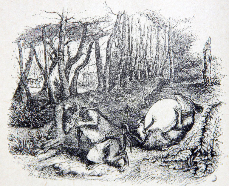 Les Deux Rats, Le Renard et l'Œuf de Jean de La Fontaine dans Les Fables - Illustration de Grandville - 1840