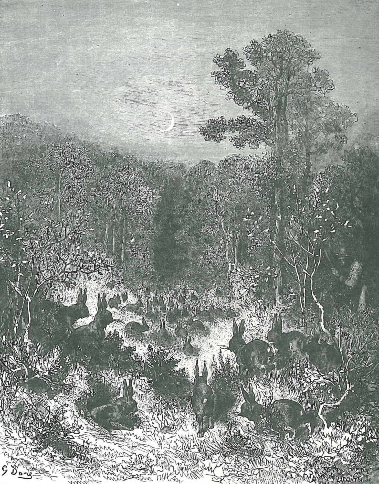Les Lapins de Jean de La Fontaine dans Les Fables - Illustration de Gustave Doré - 1876