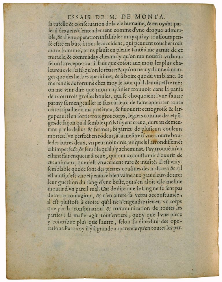 De La Ressemblance Des Enfans Aux Peres de Michel de Montaigne - Essais - Livre 2 Chapitre 37 - Édition de Bordeaux - 025