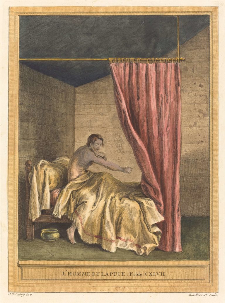 L’Homme et La Puce de Jean de La Fontaine dans Les Fables - Gravure par Benoît-Louis Prévost d'après un dessin de Jean-Baptiste Oudry - Colorisée - 1759