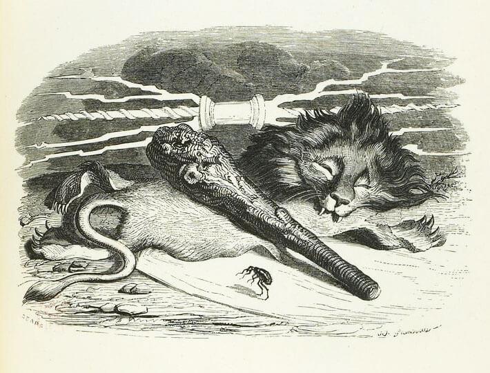 L’Homme et La Puce de Jean de La Fontaine dans Les Fables - Illustration de Grandville - 1840