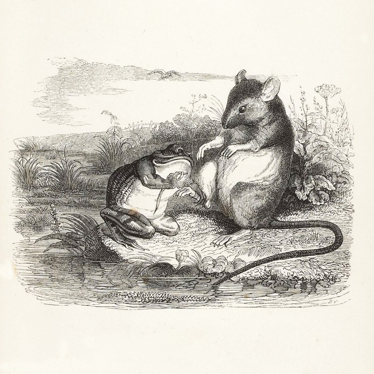 La Grenouille et Le Rat de Jean de La Fontaine dans Les Fables - Illustration de Grandville - 1840