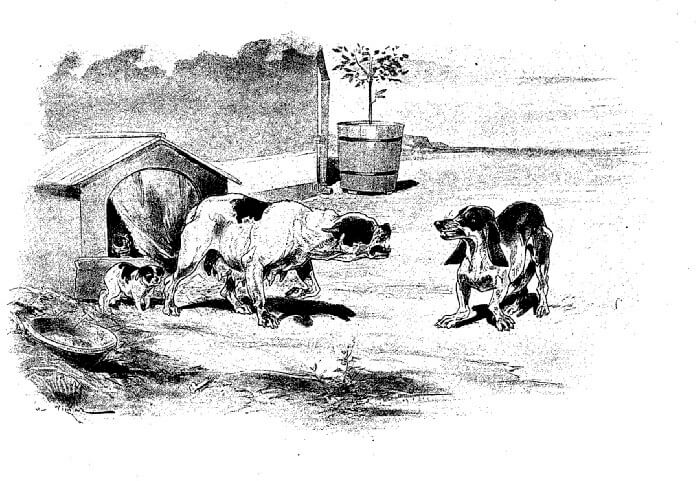 La Lice et Sa Compagne de Jean de La Fontaine dans Les Fables - Illustration de Auguste Vimar - 1897
