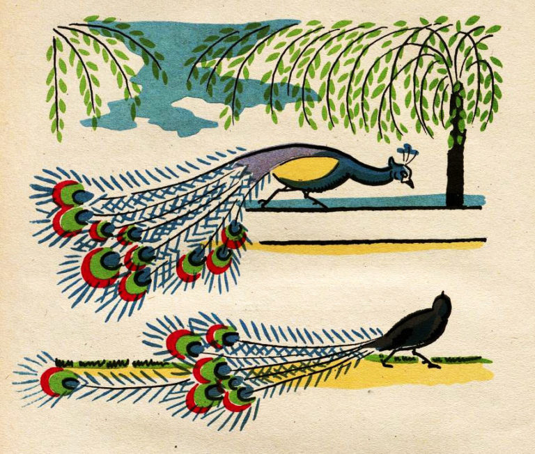 Le Geai Paré des Plumes du Paon de Jean de La Fontaine dans Les Fables - Illustration de André Hellé - 1946