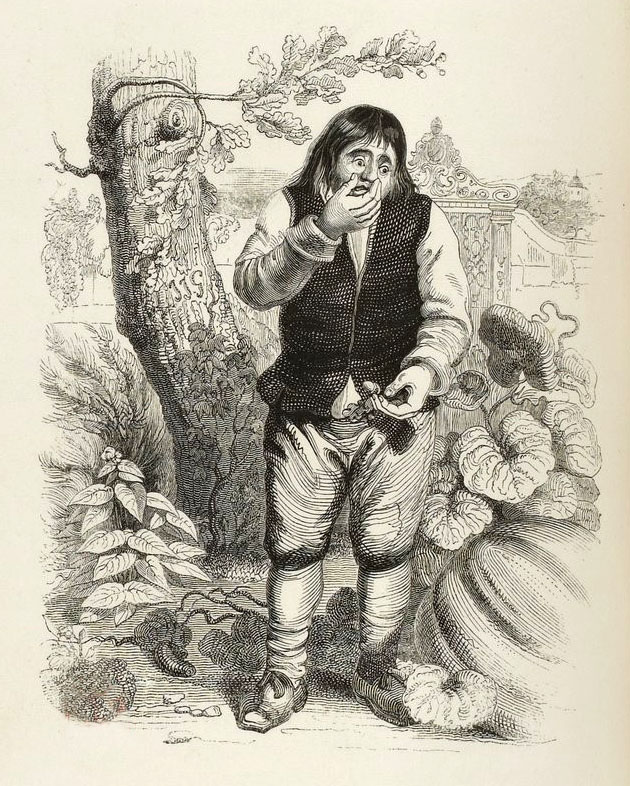Le Gland et La Citrouille de Jean de La Fontaine dans Les Fables - Illustration de Grandville - 1840
