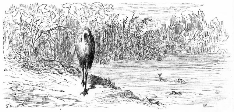 Le Héron de Jean de La Fontaine dans Les Fables - Illustration de Gustave Doré - 1876