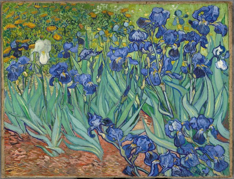 J’ai Cueilli Cette Fleur Pour Toi… de Victor Hugo dans Les Contemplations - Peinture de Vincent Van Gogh - Iris - 1889