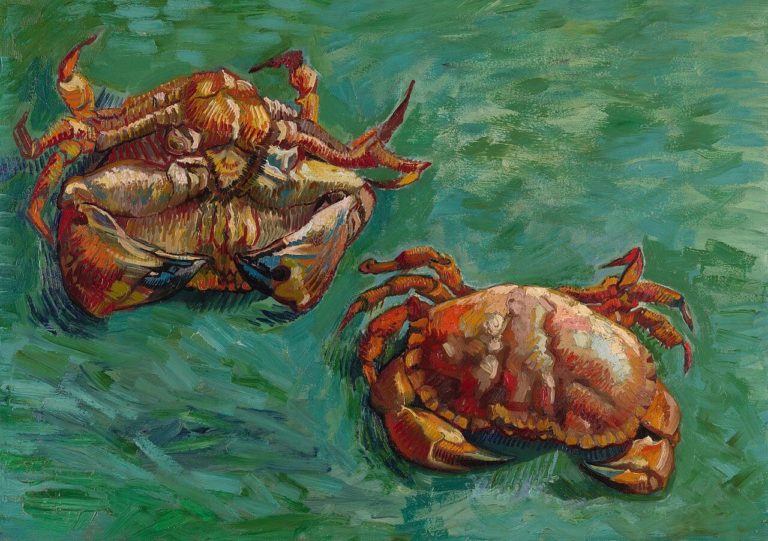 Je Payai Le Pêcheur Qui Passa Son Chemin... de Victor Hugo dans Les Contemplations - Peinture de Vincent van Gogh - Deux crabes - 1889