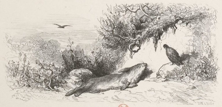 Le Lièvre et La Perdrix de Jean de La Fontaine dans Les Fables - Illustration de Gustave Doré - 1876
