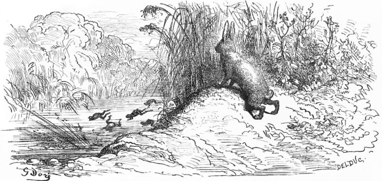 Le Lièvre et Les Grenouilles de Jean de La Fontaine dans Les Fables - Gravure de Gustave Doré - 1876