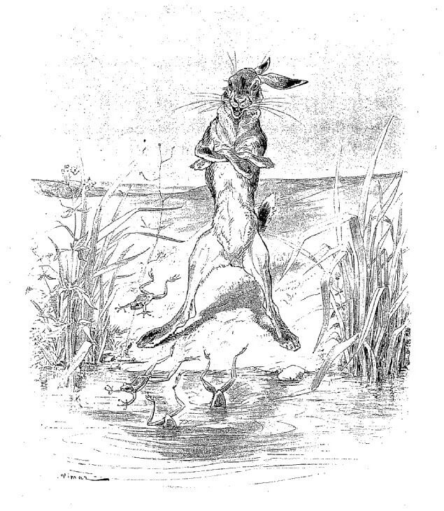 Le Lièvre et Les Grenouilles de Jean de La Fontaine dans Les Fables - Illustration de Auguste Vimar - 1897