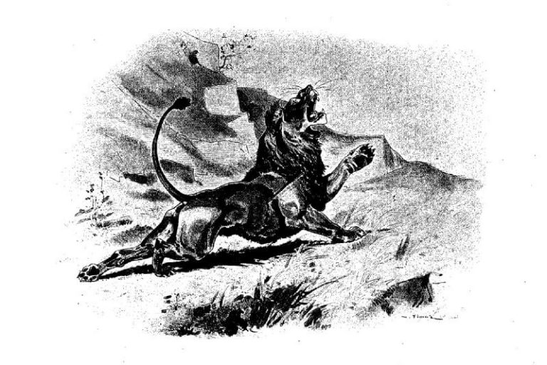 Le Lion Abattu par l'Homme de Jean de La Fontaine dans Les Fables - Illustration de Auguste Vimar - 2 - 1897