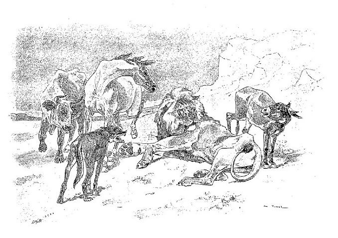 Le Lion Devenu Vieux de Jean de La Fontaine dans Les Fables - Illustration de Auguste Vimar - 1897