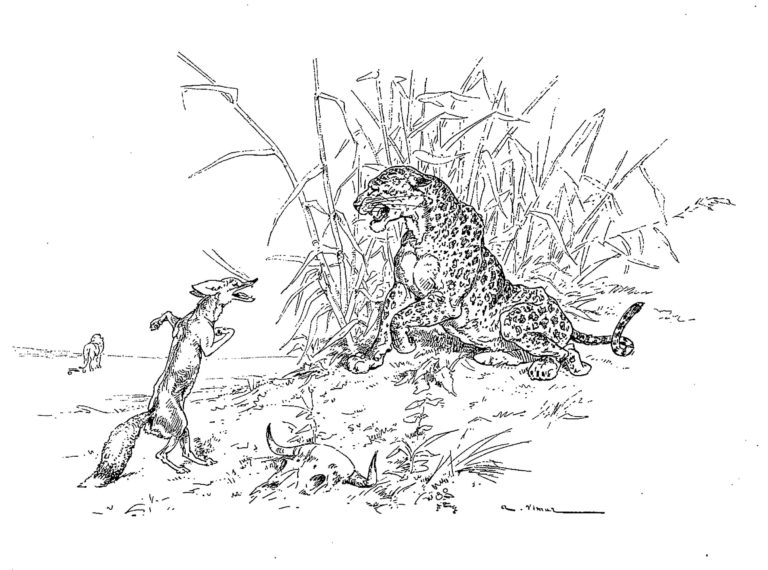 Le Lion de Jean de La Fontaine dans Les Fables - Illustration de Auguste Vimar - 1897
