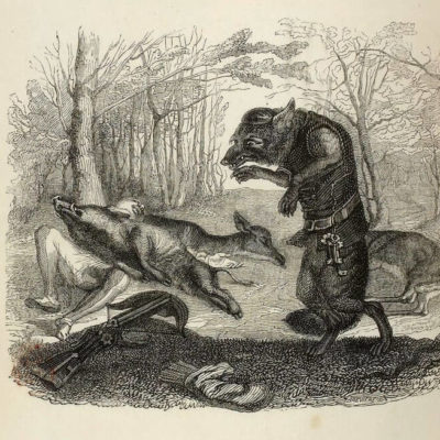 Le Loup et Le Chasseur