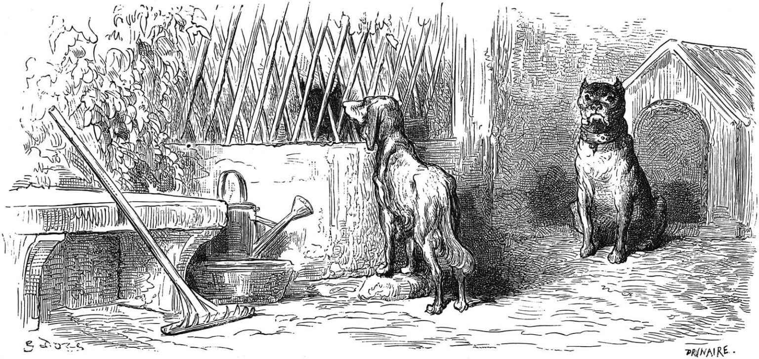 Le Loup et Le Chien Maigre - Fable de Jean de La Fontaine | Speakerty
