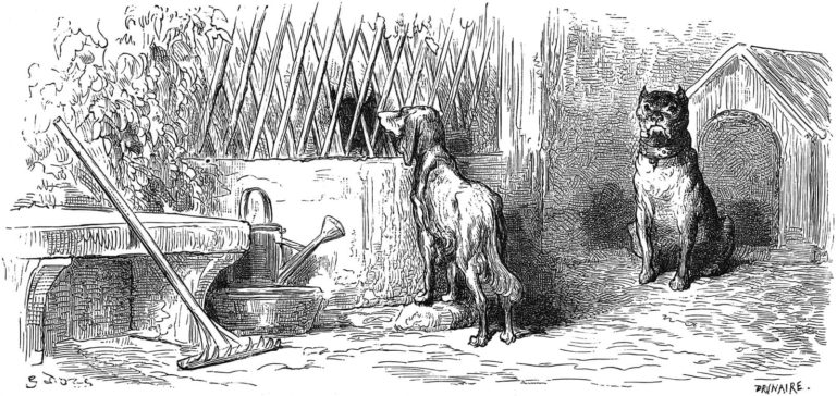 Le Loup et Le Chien Maigre de Jean de La Fontaine dans Les Fables - Gravure de Gustave Doré - 1876