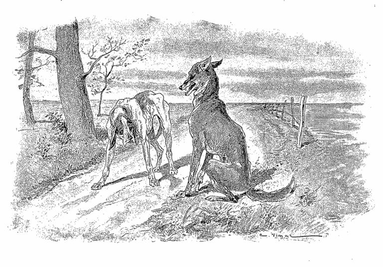Le Loup et Le Chien Maigre de Jean de La Fontaine dans Les Fables - Illustration de Auguste Vimar - 1897
