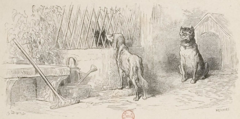 Le Loup et Le Chien Maigre de Jean de La Fontaine dans Les Fables - Illustration de Gustave Doré - 1876