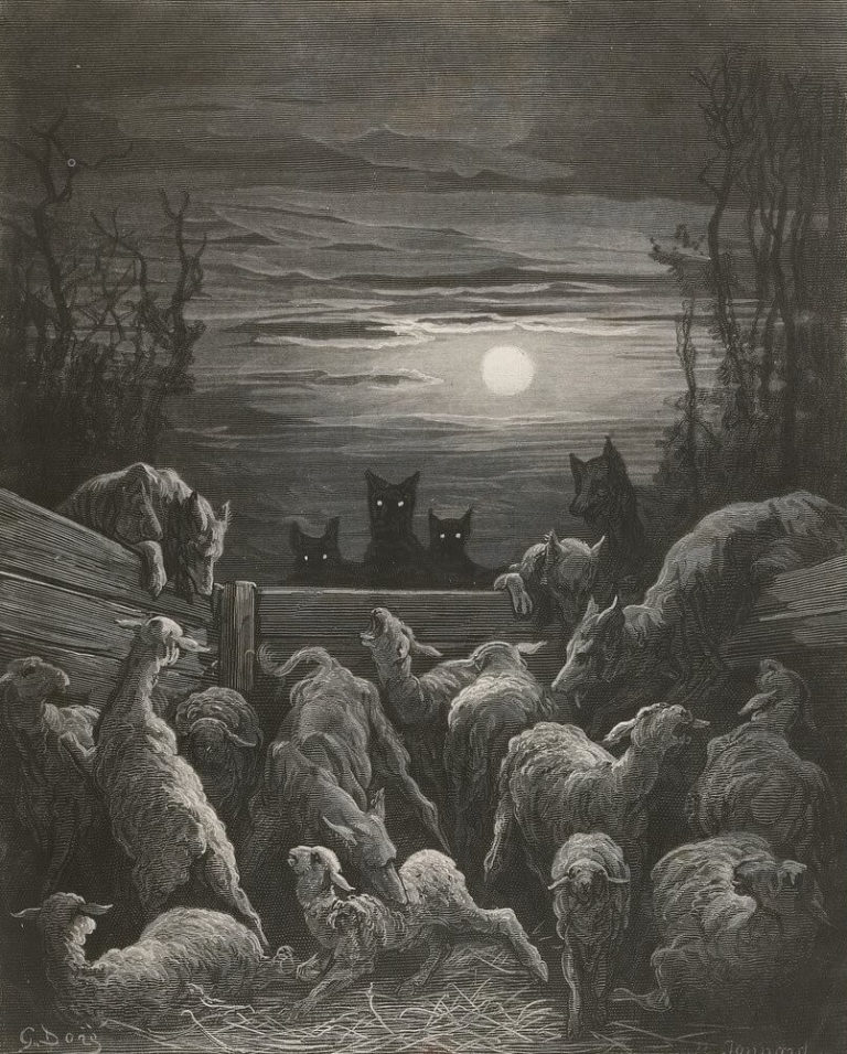 Les Loups et Les Brebis de Jean de La Fontaine dans Les Fables - Gravure de Gustave Doré - 1876