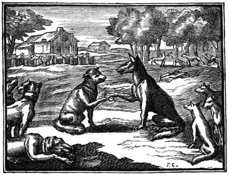 Les Loups et Les Brebis de Jean de La Fontaine dans Les Fables - Illustration de François Chauveau - 1688