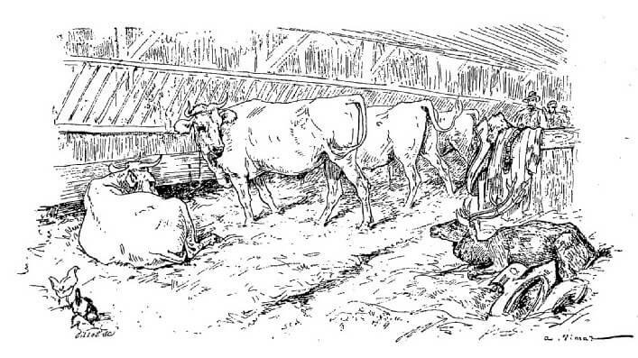 L'Œil Du Maître de Jean de La Fontaine dans Les Fables - Illustration de Auguste Vimar - 1897