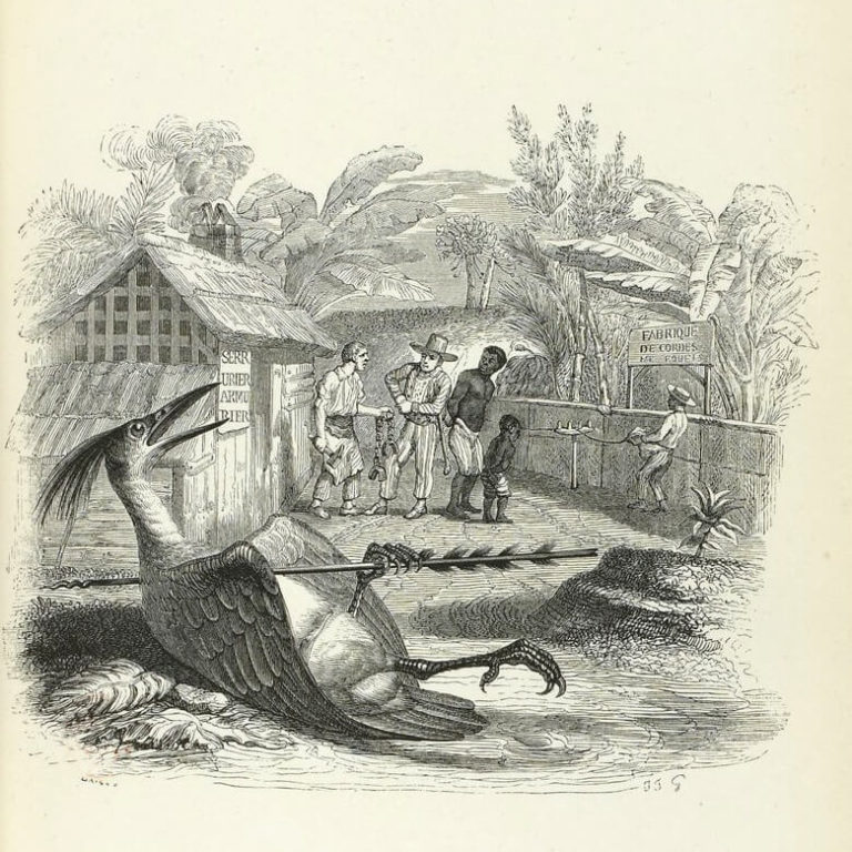 L’Oiseau Blessé d’Une Flèche de Jean de La Fontaine dans Les Fables - Illustration de Grandville - 1840
