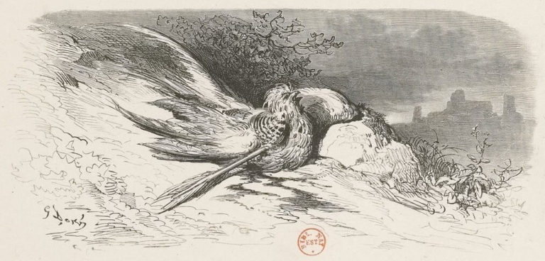 L’Oiseau Blessé d’Une Flèche de Jean de La Fontaine dans Les Fables - Illustration de Gustave Doré - 1876